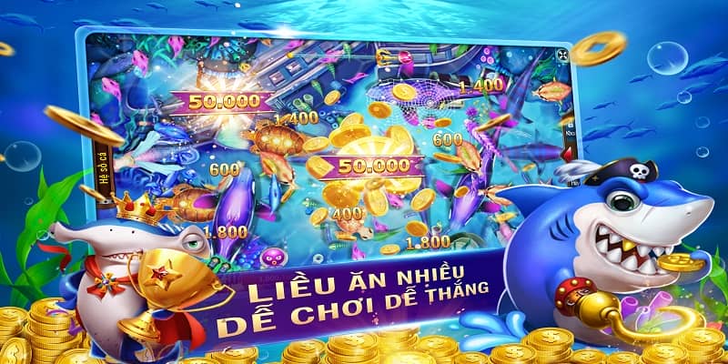 Mẹo săn cá thắng lớn cho người mới